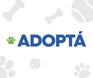 GIF-300X250-ADOPTÁ