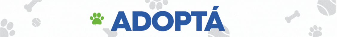 spot_img