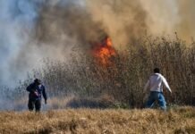 El héroe del incendio en Mi Refugio: Rescató familias y hoy pide ayuda para reparar su camioneta