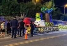 Tragedia en jujuy: Murió un carrocero tras ser aplastado durante el traslado de una carroza