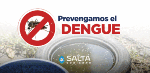 261001 Banner werb Dengue 370×180